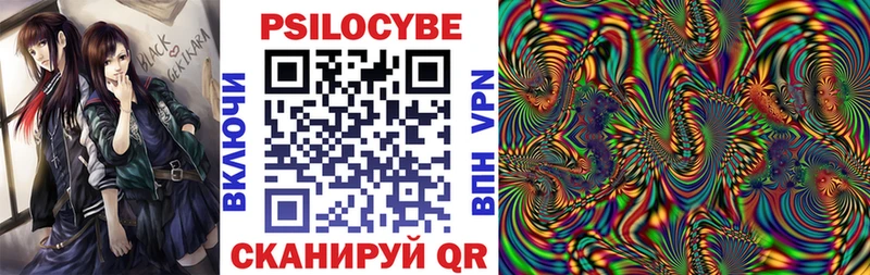 Галлюциногенные грибы Psilocybe  Фурманов 